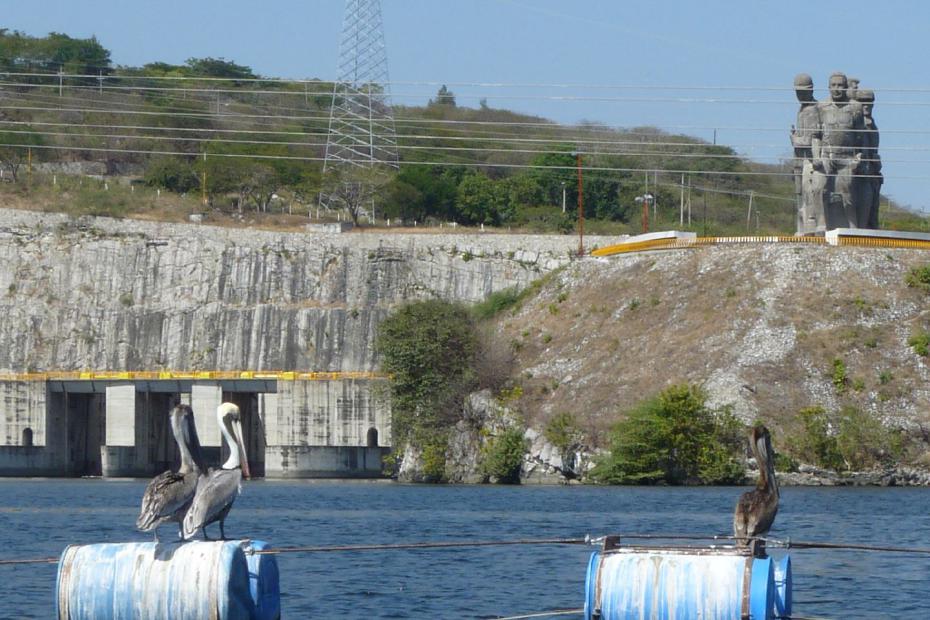 Mexiko: Graue Pelikane im Canon del Sumidoro