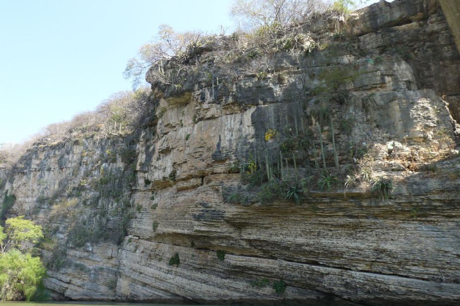 Mexiko: Felsen auf denen Kakteen wachsen