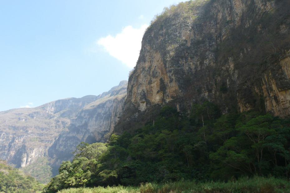 Mexiko: Felsen mit Uferbewachsung