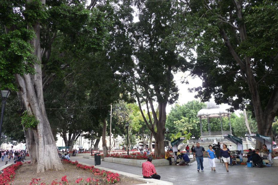Mexiko: Der Zocalo von Oaxaca de Juarez