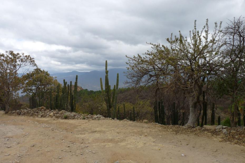 Mexiko: Die Landschaft im Bundesstaat Oaxaca