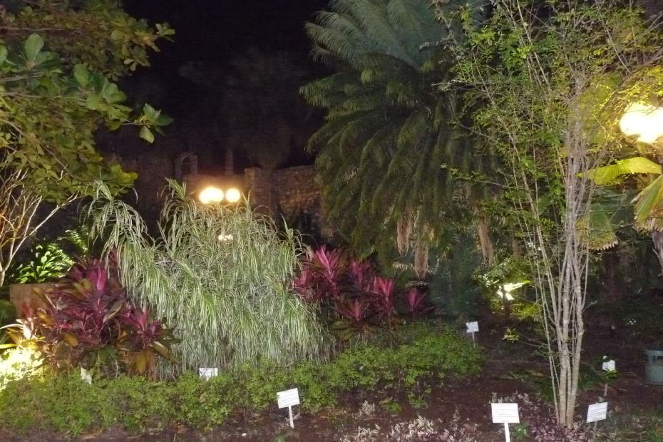 Mexiko: Blick in den botanischen Garten