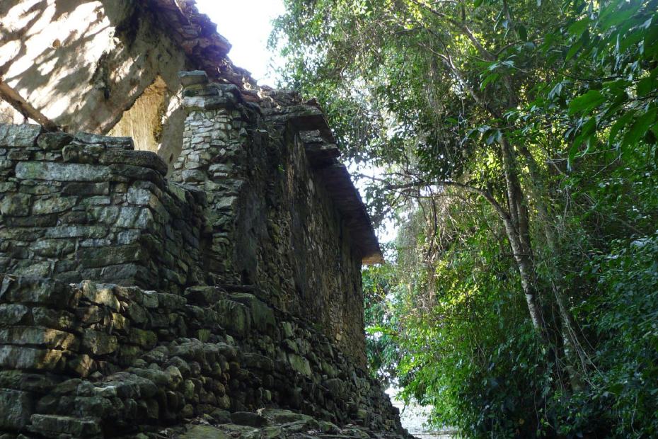 Mexiko: Die Rückseite des Tempels der Inschriften