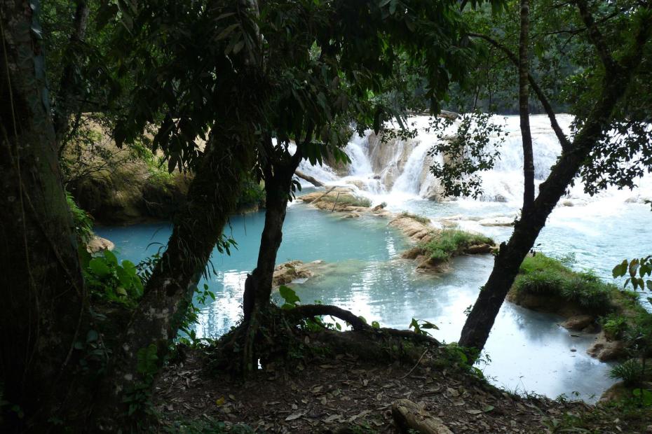 Mexiko: Seitenbecken der Agua Azul im Dschungel