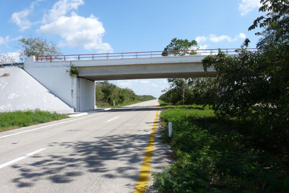 Mexiko: Die Autobahn zwischen Cancun & Valladolid