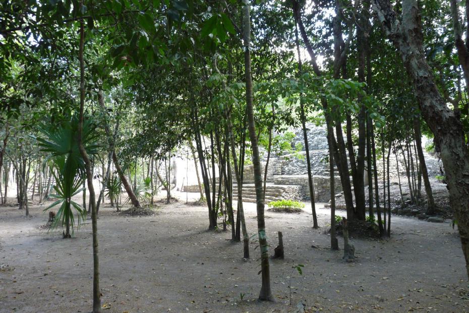 Mexiko: Tempel aus der Coba Gruppe hinter Bäumen