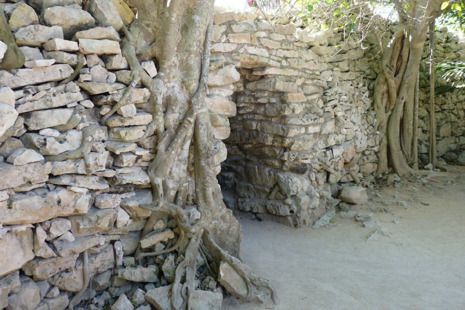 Mexiko: Die Natur nimmt sich ihr Recht zurück