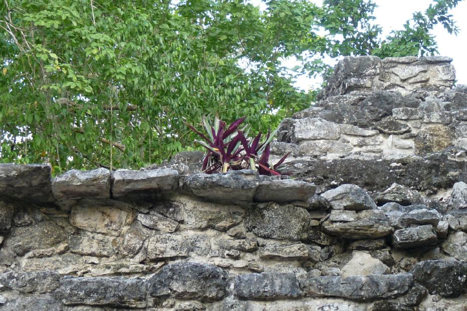 Mexiko: Die Pyramide der Coba Gruppe...