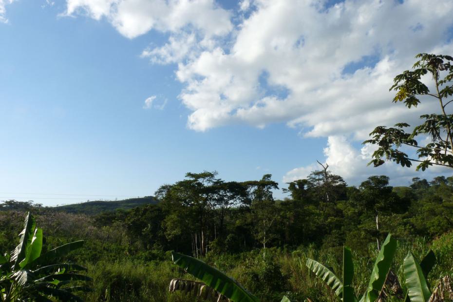 Mexiko: Der Bundesstaat Chiapas im Süden